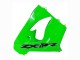 Carena Moto Kawasaki ZX9R 2000-2001 - Verde
