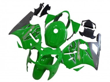 Carena Moto Kawasaki ZX12R 2002-2006 - Verde Argento Fabbrica