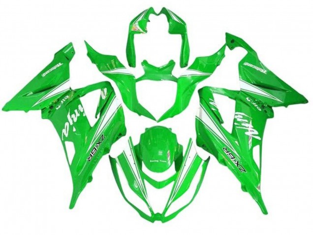 Carena Moto Kawasaki ZX6R 2013-2018 - Verde Bianco