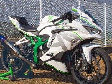 Carena Moto Kawasaki ZX4R ZX-4RR 2019-2025 - Bianco Argento Verde Fabbrica