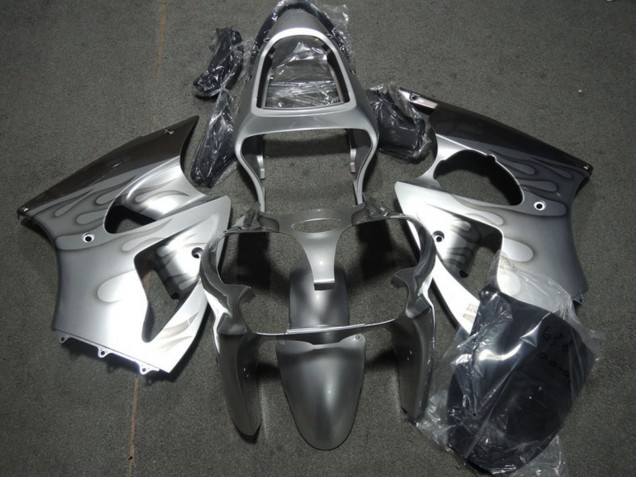 Carena Moto Kawasaki ZX6R 2000-2002 - Argento Grigio Fiamma