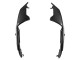 Carena Moto Aprilia RS660 2020-2024 - Fibra di Carbonio